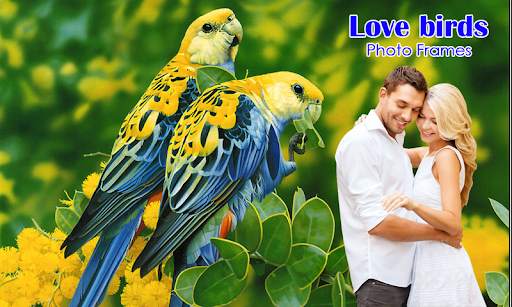 Love Birds Photo Frames скриншот 8