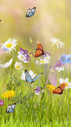 Beautiful Spring Wallpaper screenshot 11