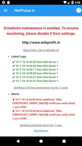 NetPulse screenshot 4