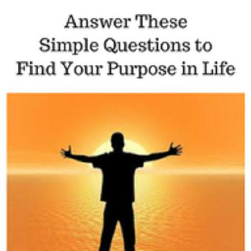 Finding your purpose 1.0
