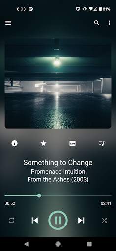 GoneMAD Music Player Unlocker screenshot 1