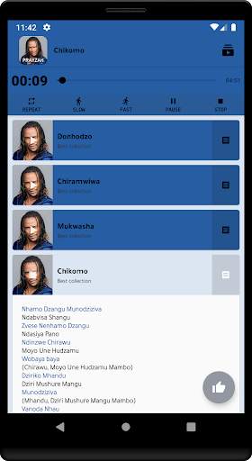 Jah Prayzah Song Lyrics Offline (Best Collection) screenshot 1