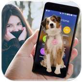Dog in Phone Cute Joke on 9Apps