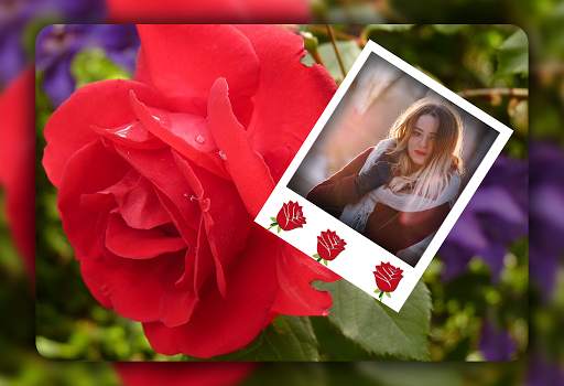 Rose Photo Frames screenshot 4