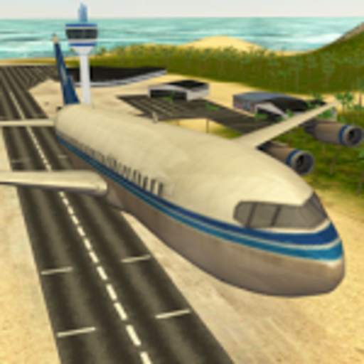 Airplane Flight Simulator 1.1