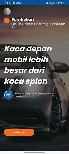 BRINSmobile screenshot 4