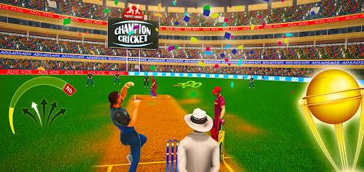 Real T20 Champion Cricket screenshot 3