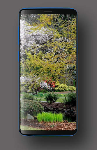 Garden Wallpapers HD screenshot 8