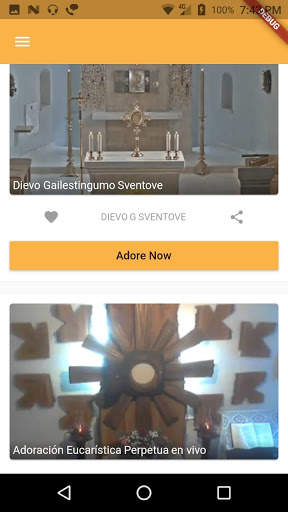 Adoration Live! screenshot 3