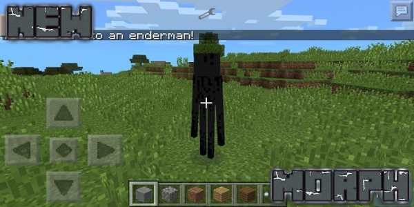 Morph MOD For Minecraft PE screenshot 1