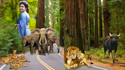 Wild Animal Lyrical Photo Edit screenshot 6