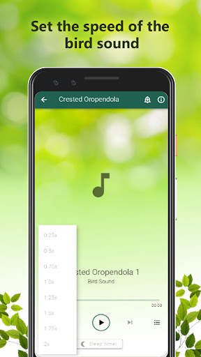 Bird Calls Sounds screenshot 7
