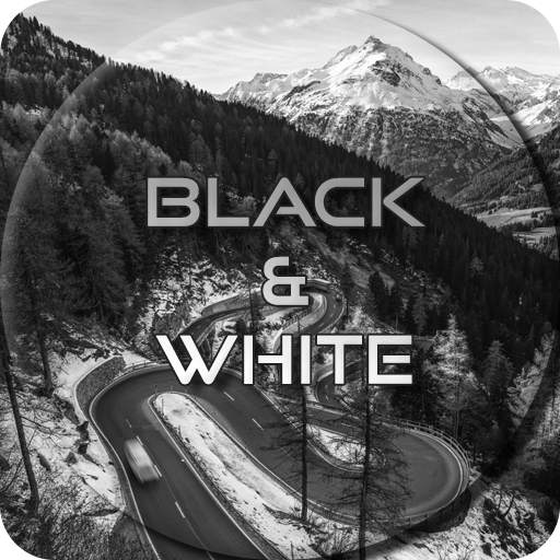 Black and White Wallpapers 2.1