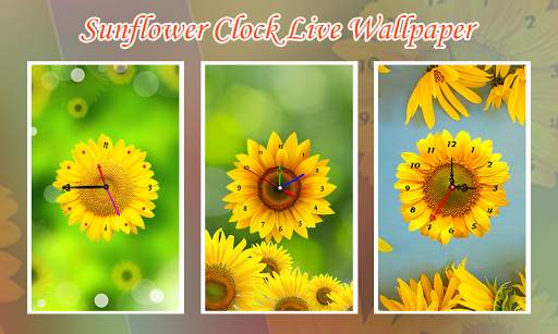 Sunflower Clock Live Wallpaper screenshot 1