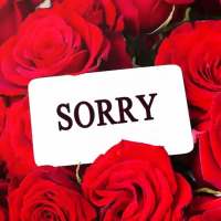 Sorry Sticker For Whatsapp logo