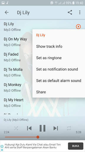 Dj Lily Alan Walker Offline screenshot 5