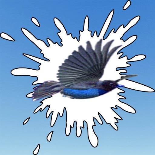Crappy Bird icon