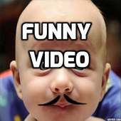 Funny Video