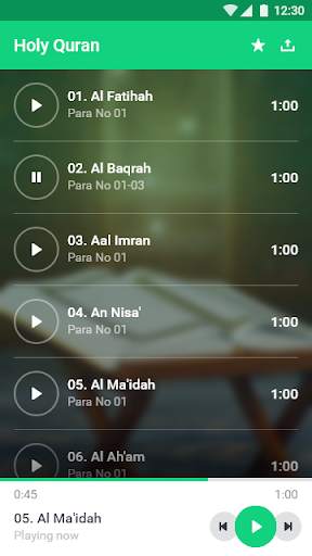 Holy Quran screenshot 2