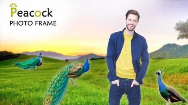 Peacock Photo Frame screenshot 5