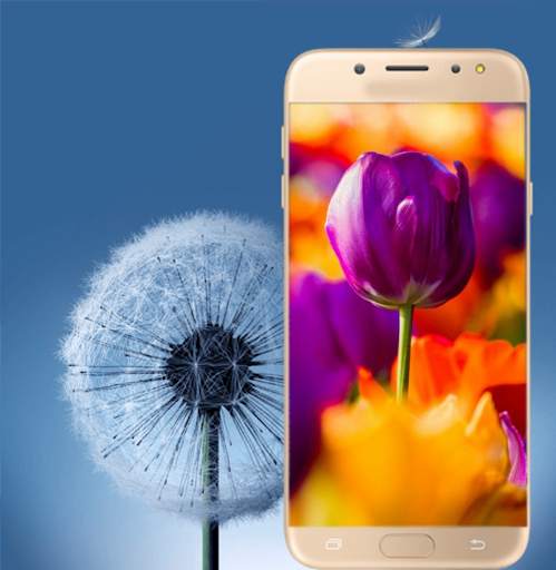 WallpaperZone : HD & 4K Wallpaper screenshot 8