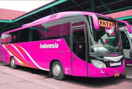 Bus Patas Wallpaper screenshot 1