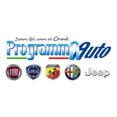 Programma Auto icon