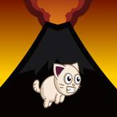 Tom GOLD Jump 1.2