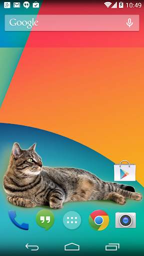 Cat inside phone prank screenshot 1