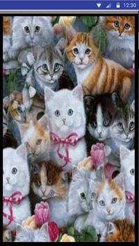 Cat Sounds – Cat Noises App screenshot 3