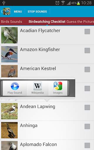 South American Birds Free स्क्रीनशॉट 4