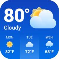 Daily Weather: Live Forecast