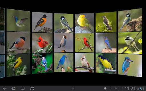Gallery Wall 3D स्क्रीनशॉट 9