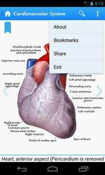 Human Anatomy II Lite screenshot 3