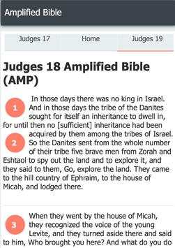 Amplified Bible screenshot 10