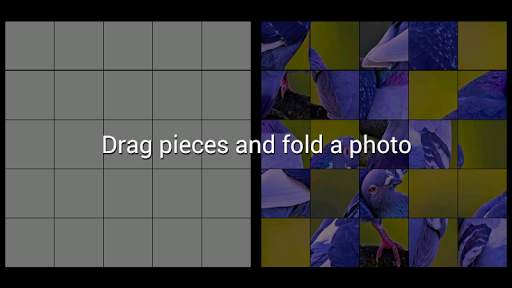 Birds Jigsaw Puzzle   LWP screenshot 2