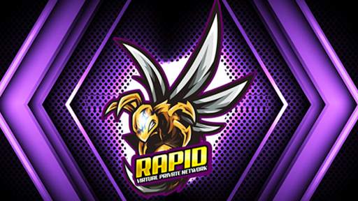 Rapid VPN Gaming screenshot 1