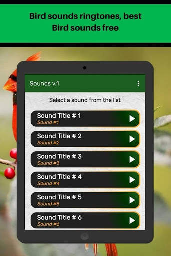 Bird sounds ringtones, best Bird sounds free screenshot 7