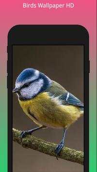 HD Best Birds Wallpaper 4K - Mobile Themes screenshot 4