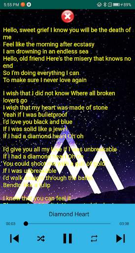 Alan Walker Song plus Lyrics screenshot 4