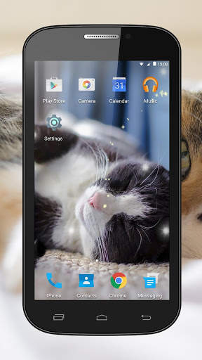 Cats Live Wallpaper screenshot 3