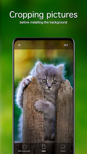 Kitten Wallpapers 4K screenshot 4