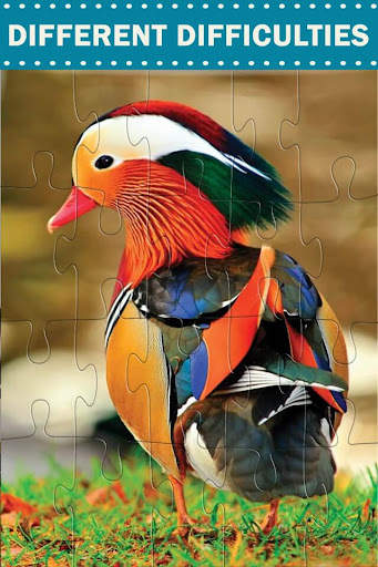 Amazing Birds - Jigsaw Puzzles screenshot 2