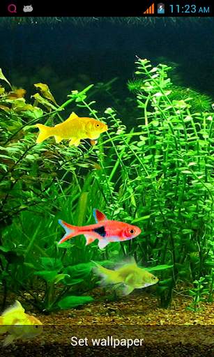 Aquarium Live Wallpaper! screenshot 5