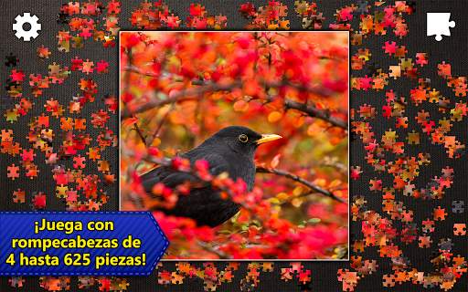 Rompecabezas Jigsaw Puzzles screenshot 10