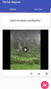 TikTok video downloader - wrong link issue fixed screenshot 2