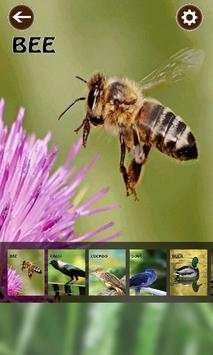 Bird and Animal Sound Effect screenshot 4