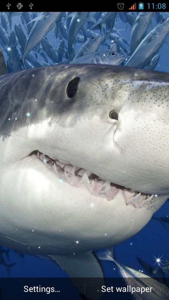 Shark Live Wallpaper скриншот 1