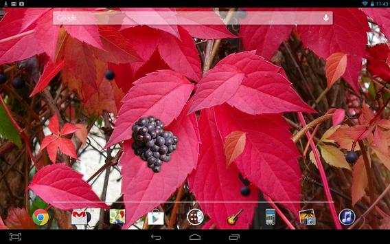 Autumn Grapes LWP screenshot 3
