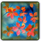 Nature Live Wallpaper icon